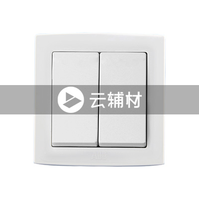 AS102二位单控开关 10AX