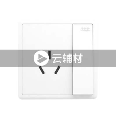 AQ223一位三极带开关插座 10A