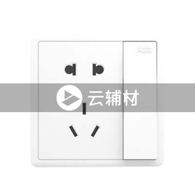 AQ225二位二三极带开关插座 10A