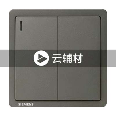 西门子致琦月银灰10AX 二位单控开关带荧光