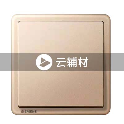 西门子致琦日耀金10AX 一位双控开关