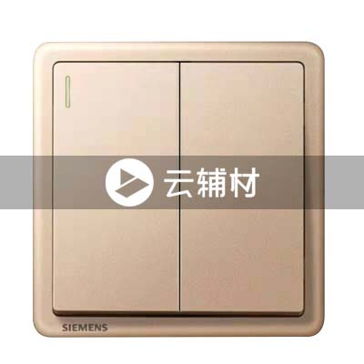 西门子致琦日耀金10AX 二位单控开关带荧光