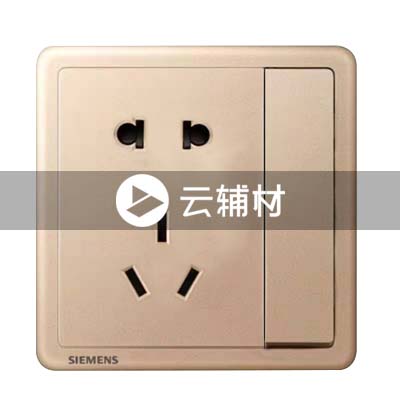 西门子致琦日耀金10A 二三极插座带单控开关