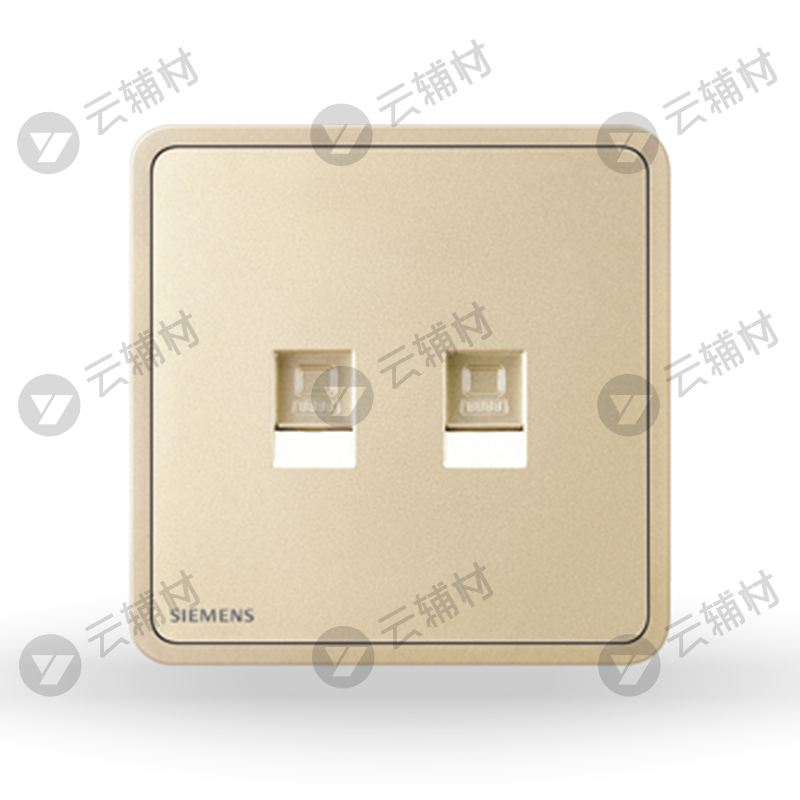 西门子睿绎日曜金二位电脑插座(超5类)